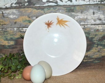 May include: A white ceramic bowl with a brown leaf design. Three eggs, one blue, one light blue, and one brown, are in front of the bowl.