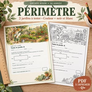 May include: Two educational worksheets titled ESCAPE ROOM 3e ANNEE PERIMETRE featuring a rabbit in a garden. One sheet is in color, the other in black and white. Both include math problems about calculating perimeter with 4m and 8m labels, plus a wooden ruler on the left side showing measurements in inches.