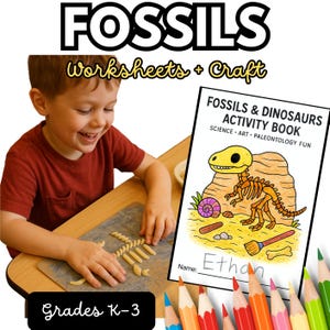 May include: A Fossils Worksheets + Craft activity set for grades K-3. The set includes a Fossils & Dinosaurs Activity Book with a colorful illustration of a dinosaur skeleton and the text Fossils & Dinosaurs Activity Book Science Art Paleontology Fun.