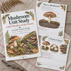 May include: A Mushroom Unit Study educational set featuring three printed pages with botanical illustrations of mushrooms, ferns, and acorns. The text includes titles like Meet a Mushroom and A World of Shapes, with diagrams labeling mushroom parts.