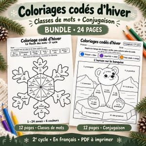Può includere: Un pacchetto di 24 pagine di colora per codice a tema invernale con schede didattiche in francese. Una pagina mostra un disegno a fiocco di neve per le classi grammaticali, l'altra un orso su un ghiacciaio per la coniugazione.