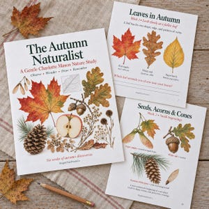 Könnte beinhalten: Eine Sammlung von drei pädagogischen Naturstudienheften mit den Titeln The Autumn Naturalist, Leaves in Autumn und Seeds, Acorns & Cones. Die Seiten zeigen detaillierte botanische Illustrationen von Ahornblättern, Eicheln, Tannenzapfen und einem Apfel.
