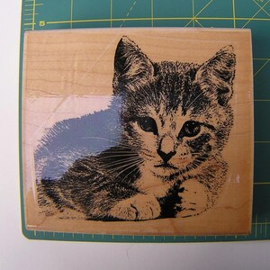 May include: A wooden stamp with a detailed illustration of a kitten. The kitten is lying down, with its head and front paws visible. The image is in black and white, with fine lines creating the fur and features.
