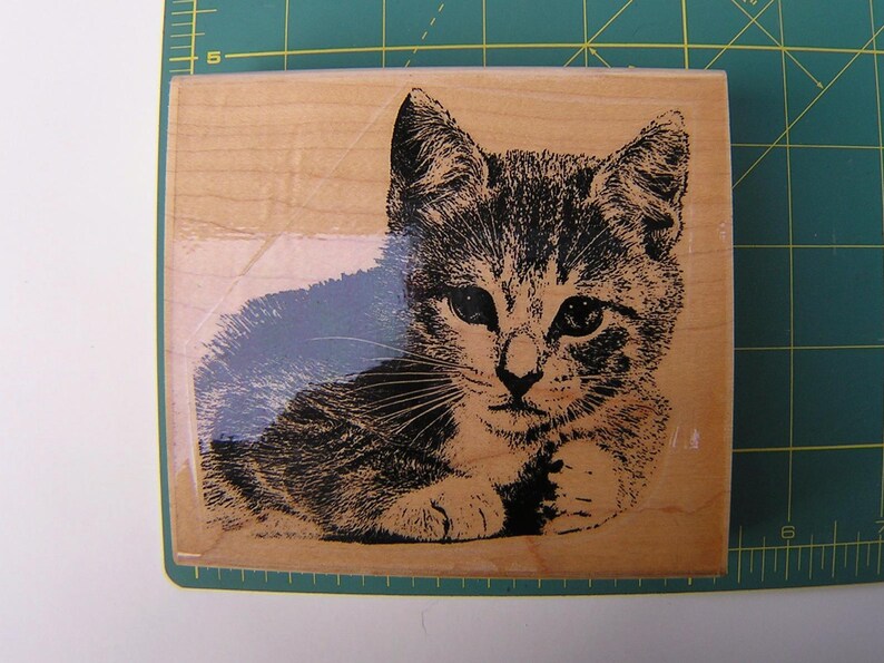 May include: A wooden stamp with a detailed illustration of a kitten. The kitten is lying down, with its head and front paws visible. The image is in black and white, with fine lines creating the fur and features.