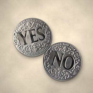 May include: Two circular silver-toned metal coins featuring ornate embossed scrollwork borders. One coin displays the word YES with the text THE SILVER COINS CHOOSE WELL. The other coin displays the word NO with the text CHOOSE YOU THIS DAY 2026.