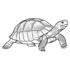 Peut inclure: Une illustration en noir et blanc au trait représentant une tortue de profil. Le dessin présente une carapace détaillée avec des écailles hexagonales, un cou texturé et quatre pattes avec des griffes visibles. La tortue est tournée vers la droite.