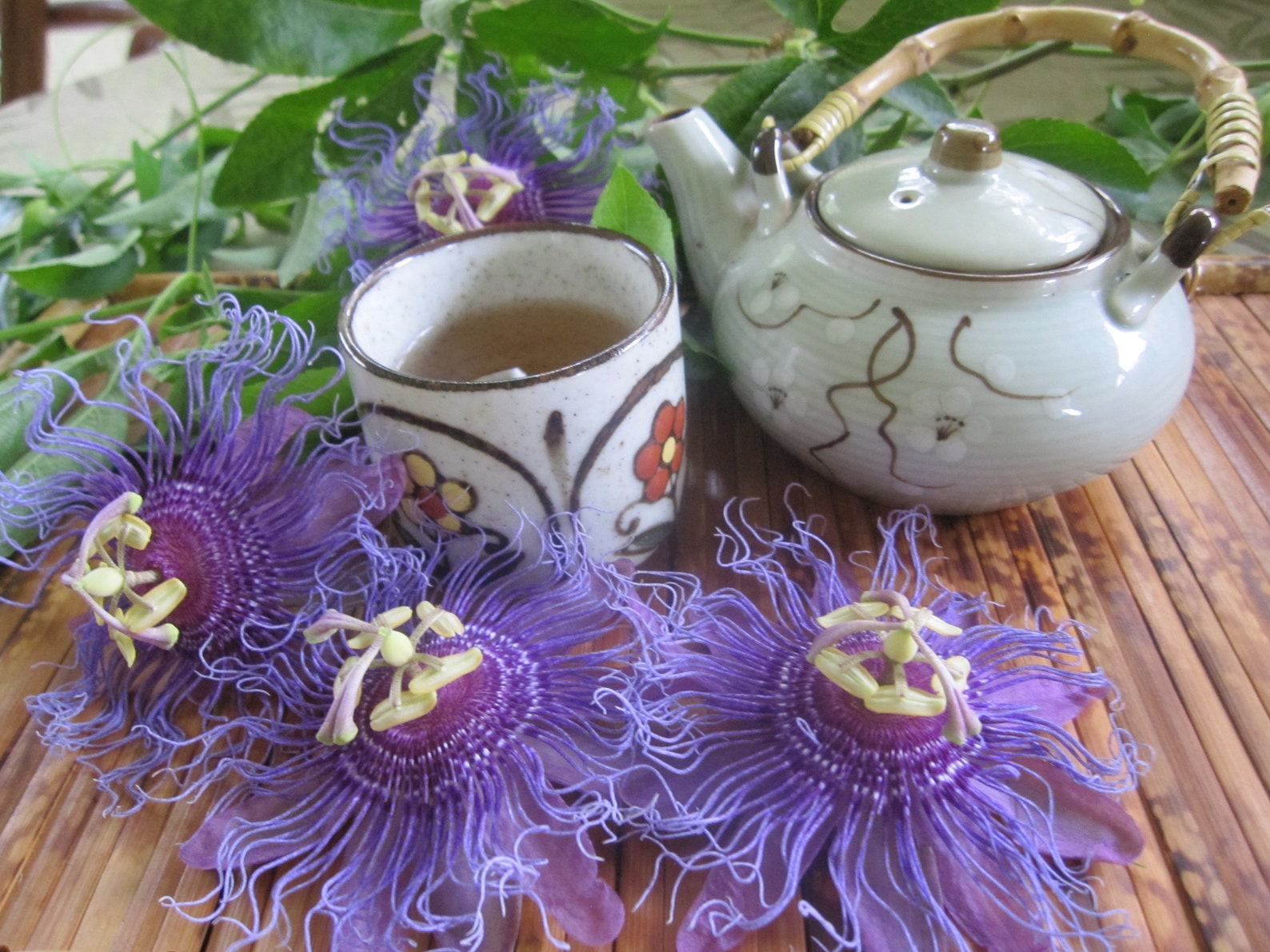 PASSIONFLOWER freshly dried organically grown whole vine & Etsy