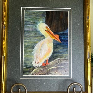 Cuadro enmarcado: Pelícano blanco junto al muelle de Galveston.