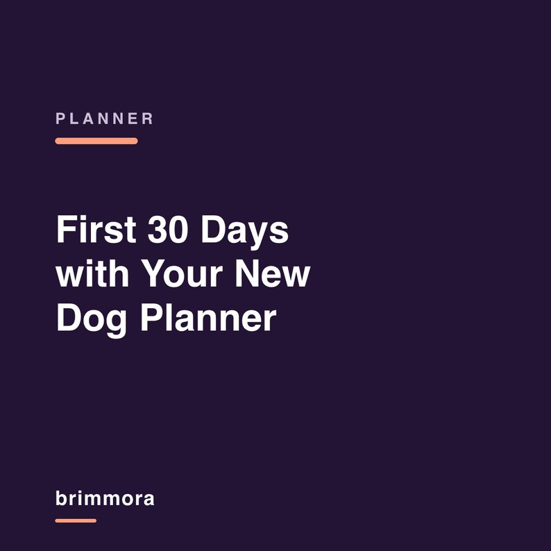 First 30 Days with Your New Dog Planner, Printable PDF, Undated Daily Routine & Training Tracker image 6