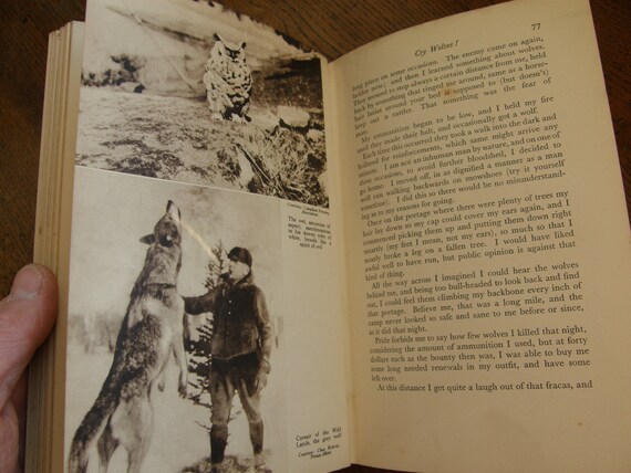 1936 Grey Owl Signed Tales Of An Empty Cabin 1936 1st Etsy
