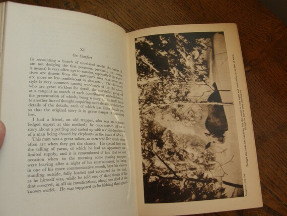 1936 Grey Owl Signed Tales Of An Empty Cabin 1936 1st Etsy