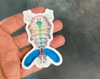 Copepod vinyl glossy waterproof sticker, natural history art, Ernst Haeckel artwork, Sapphirina darwinii