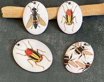 Enameled insect pendants: Beetle, Fly, Bumble Bees. Quirky fun nature entomology jewelry