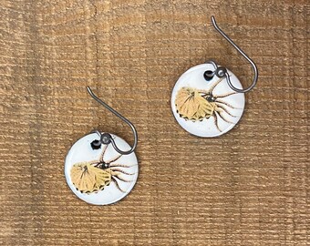 Argonaut octopus earrings, Argonauta nodosus, octopus jewelry, nature, nautical beach ocean, Sterling silver ear wires, vintage art, #sciart