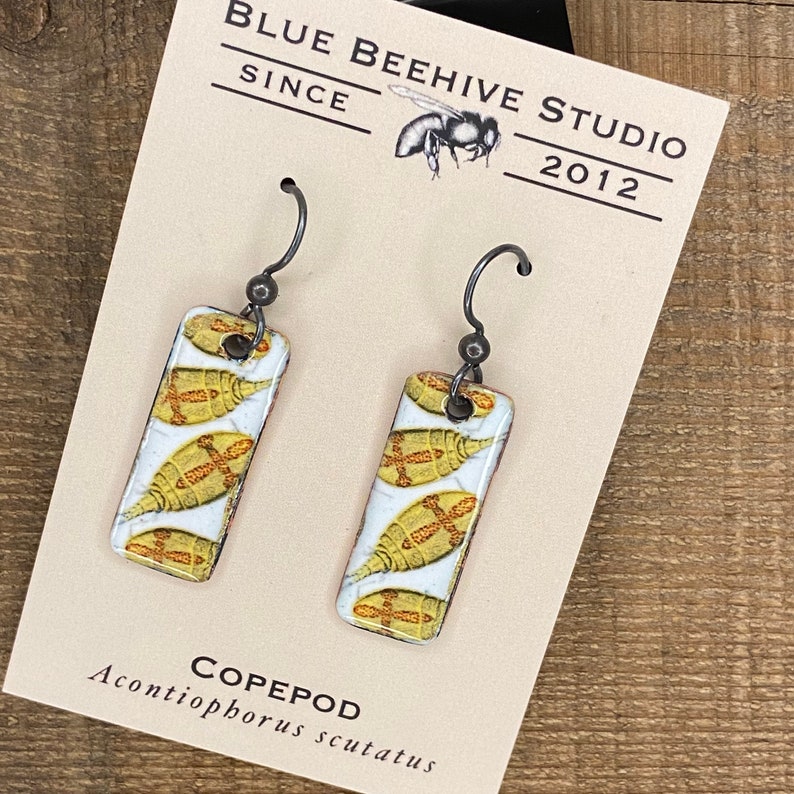 Copepod earrings, Acontiophorus scutatus, enamel, biologist, nature, Sterling silver ear wires, handmade , vintage image, natural history image 3