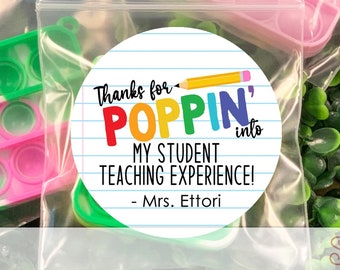 End of School Year Student Gift, Student Teacher Gift for Class, Pop It Classroom Favors, Last Day of School Student Gift, Thank You Pop Its