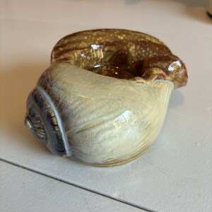 May include: A ceramic seashell-shaped bowl featuring a glossy finish with a color palette of cream, tan, and dark brown. The exterior displays a textured, spiral shell pattern, while the interior is a smooth, deep brown with speckled accents.