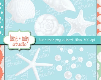 white seashell and starfish digital scrapbook clipart - INSTANT DOWNLOAD