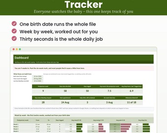 Postpartum Recovery Tracker Spreadsheet - Fourth Trimester Planner, Daily Log, Mood Check (Excel + Google Sheets)
