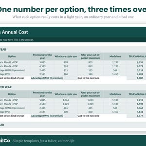 Pu&ograve; includere: Una tabella di confronto finanziario intitolata True Annual Cost con sezioni per Light Year e Expected Year. La tabella elenca le opzioni di assicurazione sanitaria tra cui Original pi&ugrave; Plan G, Plan N, Advantage HMO e PPO con colonne per premi, costi di assistenza, massimali, medicinali e costi annuali totali.