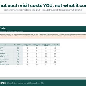 Pu&ograve; includere: Un modello di foglio di calcolo digitale intitolato What each visit costs YOU, not what it costs. La tabella mostra dodici servizi medici con colonne per Typical full charge, Original + Plan G + PDP, Original + Plan N + PDP, Advantage HMO e Advantage PPO.