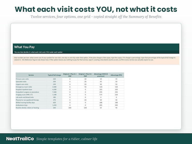 Pu&ograve; includere: Un modello di foglio di calcolo digitale intitolato What each visit costs YOU, not what it costs. La tabella mostra dodici servizi medici con colonne per Typical full charge, Original + Plan G + PDP, Original + Plan N + PDP, Advantage HMO e Advantage PPO.