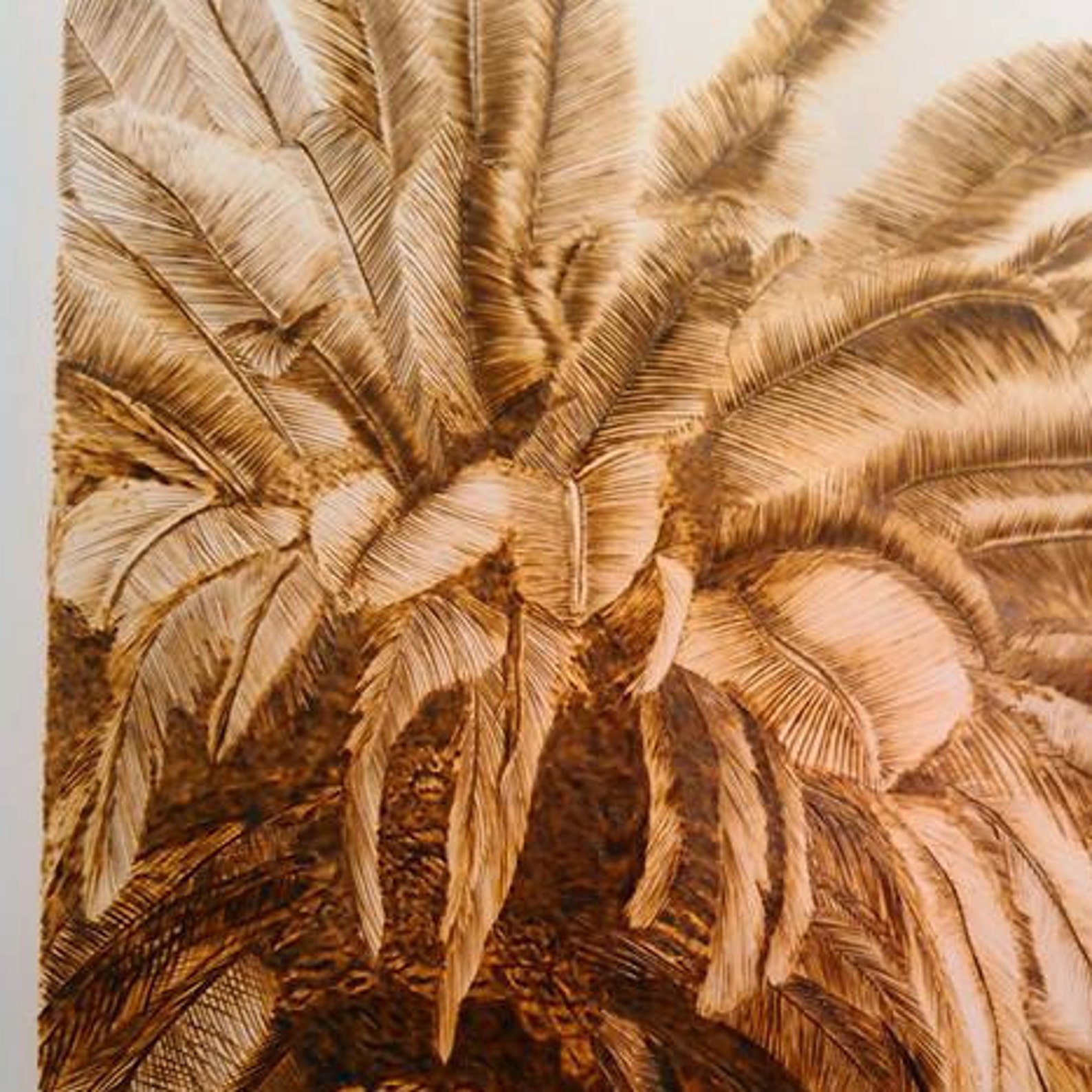 Woodburn Palm Tree BURNED on paper pyrography wall art Etsy