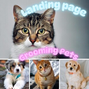 May include: A collage featuring a brown tabby cat at the top with the text Landing page and Grooming Pets. Below are three smaller images: a fluffy puppy with a blue collar, an orange tabby cat with a bell collar, and a golden puppy with an orange collar.