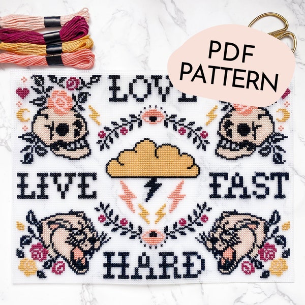 DIGITAL PATTERN Large Skull, Roses & Panther Tattoo Inspired Gothic Modern Cross Stitch - Learn To Cross Stitch - Embroidery Kit