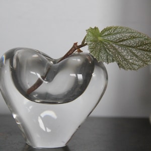 May include: A clear glass heart-shaped vase with a single green leaf and a brown stem inside.
