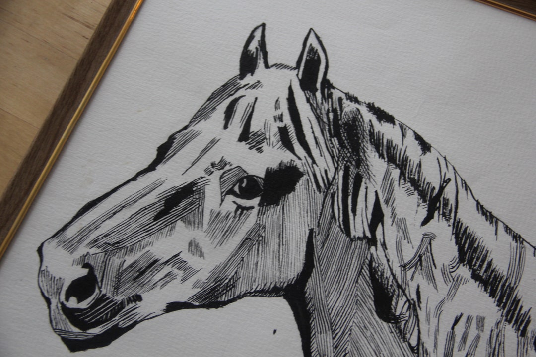 Vintage Horse Pen and INK Framed Vintage Framed Horse Etsy