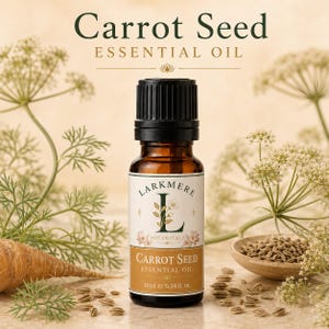 Könnte beinhalten: Eine kleine Braunglasflasche mit Larkmere Botanicals Karottensamen-Ätherischem Öl und schwarzem Verschluss. Das Etikett zeigt den Text Carrot Seed Essential Oil, 10ml e 0.34 fl. oz. und ein florales Logo. Die Flasche ist von Karottengrün und Samen umgeben.