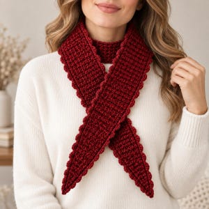 Può includere: Una sciarpa all'uncinetto rosso scuro caratterizzata da un motivo a punti testurizzati e un bordo smerlato. La sciarpa è lunga e stretta, progettata per essere avvolta attorno al collo, con estremità appuntite che cadono incrociate su un maglione bianco.