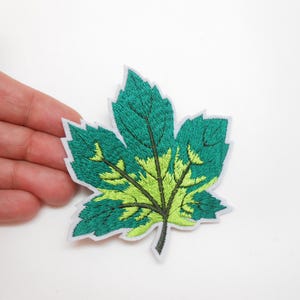 Peut inclure: Écusson de feuille brodée dans les tons de vert et de jaune avec une bordure blanche. La feuille présente des coutures détaillées, mettant en valeur les nervures et les variations de couleur. Ce patch décoratif est idéal.