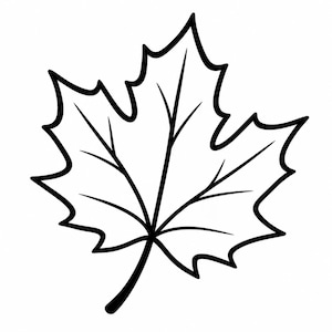 May include: A black and white line drawing of a maple leaf. The illustration features a bold black outline defining the five-pointed shape of the leaf, with simple black lines indicating the central veins extending from the stem to each point.