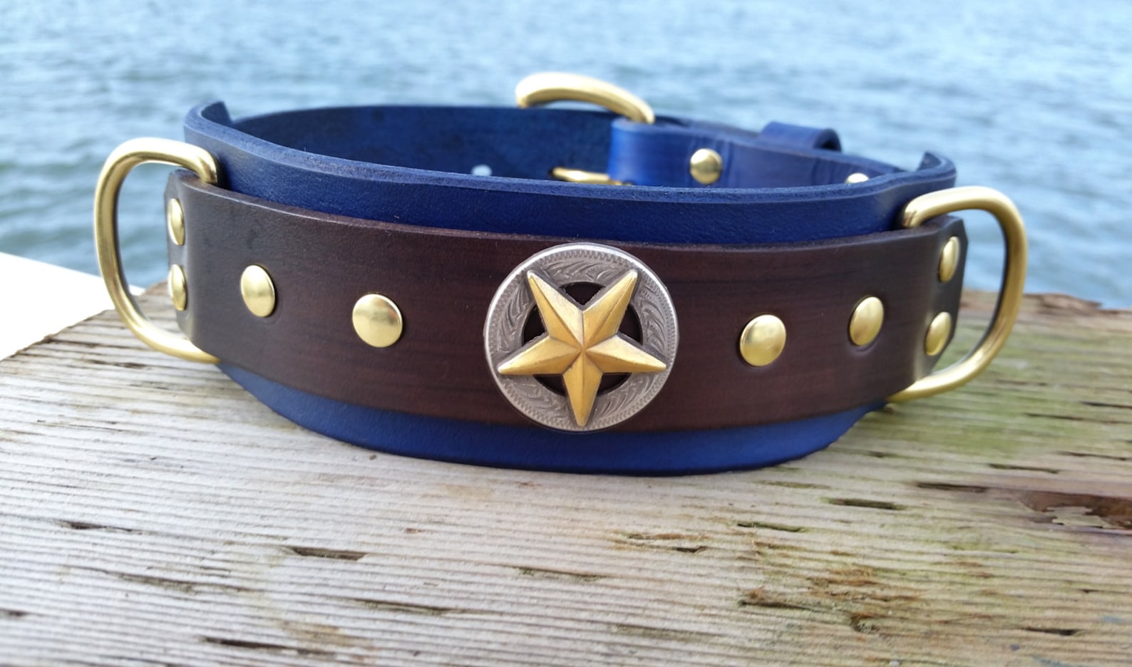 Blue Leather Dog Collar 2 Inch Wide Collar Royal Blue Pet Etsy Canada