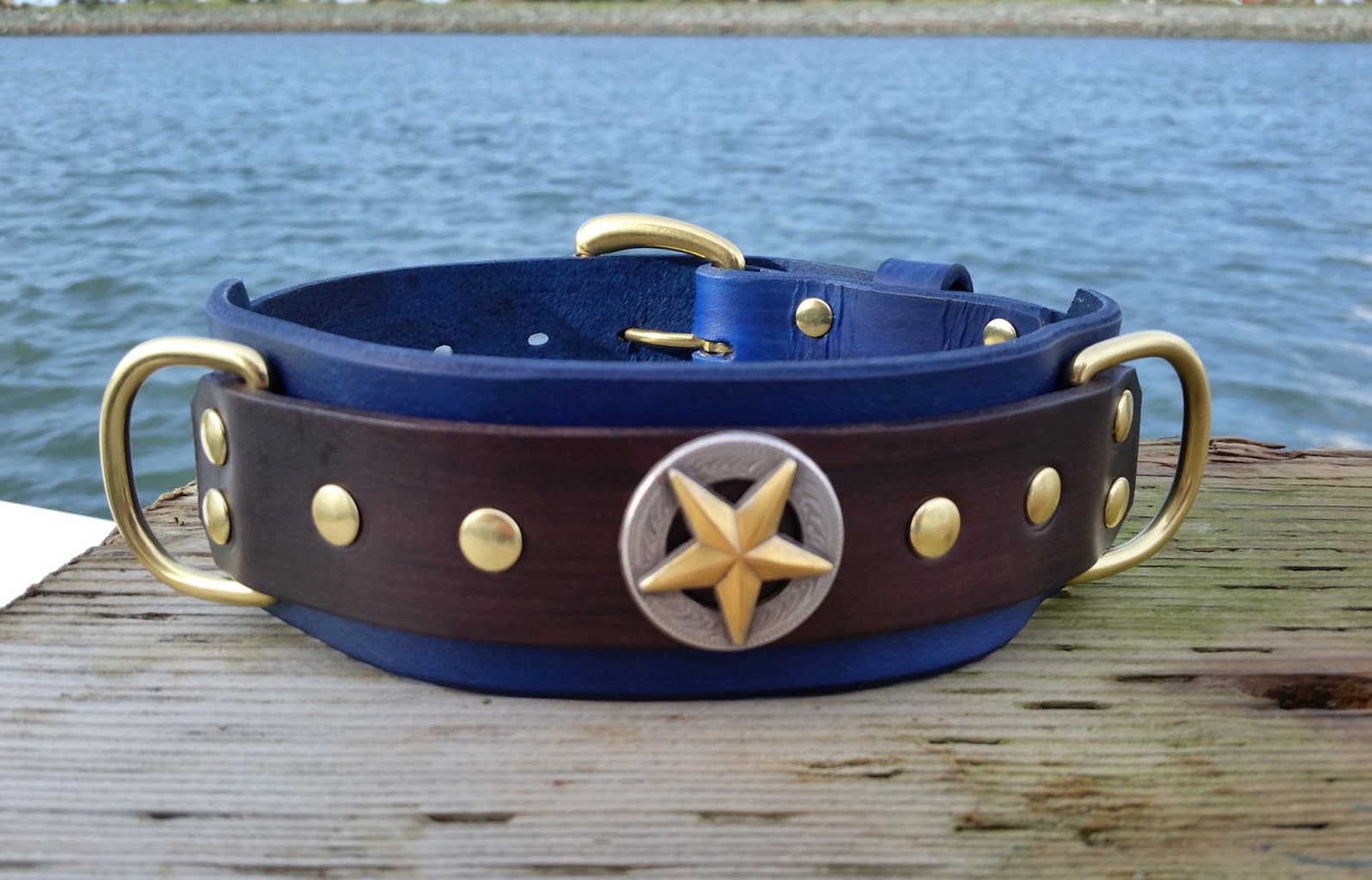 Blue Leather Dog Collar 2 Inch Wide Collar Royal Blue Pet Etsy Canada