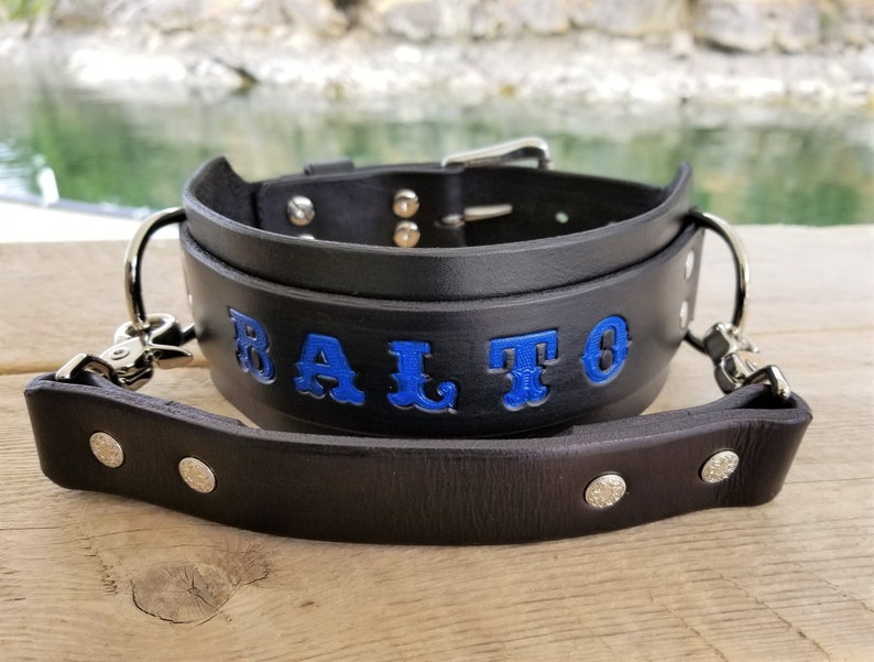 Large Dog Collar With Detachable Handle Leather Dog Collar Etsy