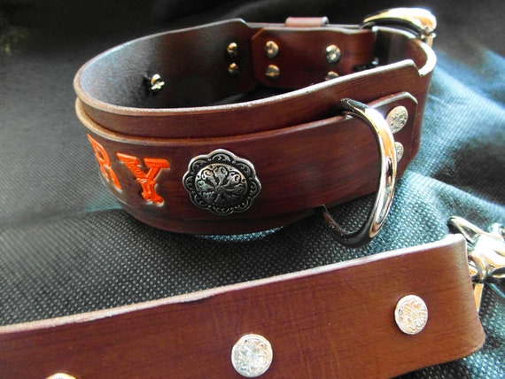 leather collar with handle