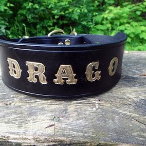 Large Dog Collar, Engraved Dog Collar, Gold Name Dog Collar, Personalized Dog Collar