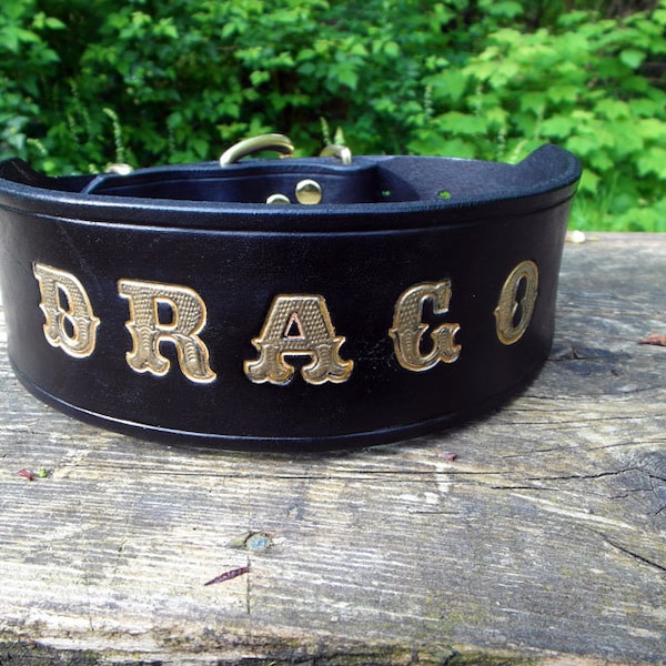 Large Dog Collar, Engraved Dog Collar, Gold Name Dog Collar, Personalized Dog Collar