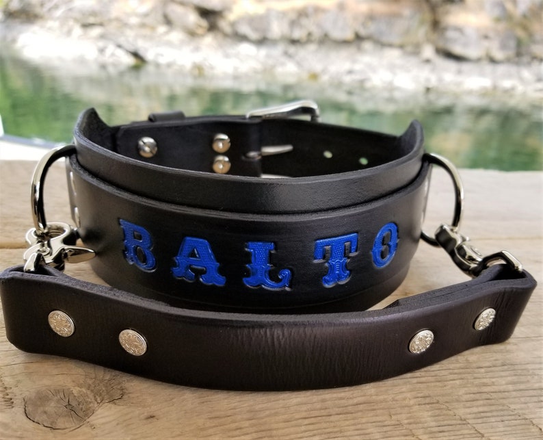 Large Dog Collar With Detachable Handle Leather Dog Collar Etsy Canada