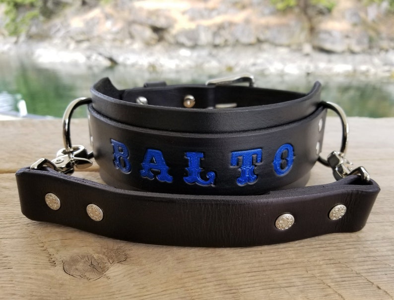 Large Dog Collar With Detachable Handle Leather Dog Collar Etsy