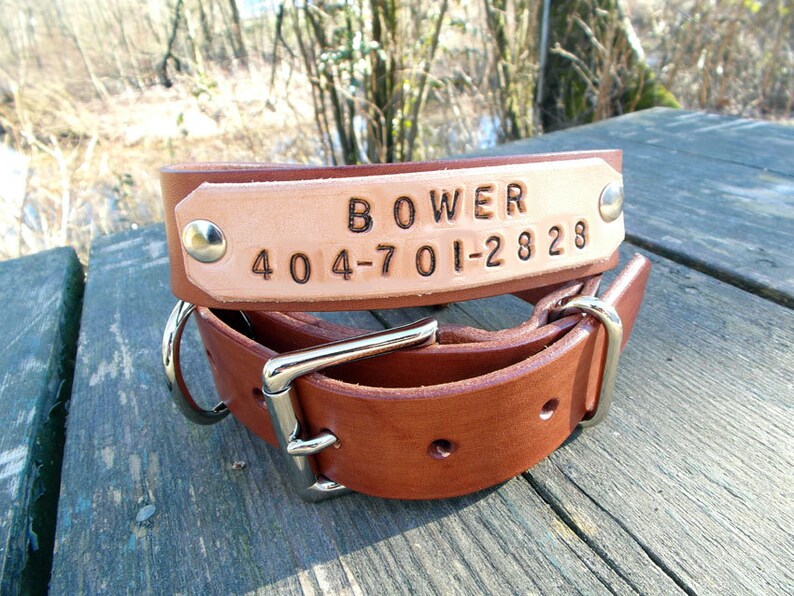 Leather Dog Collar With Engraved Leather Name Tag Etsy