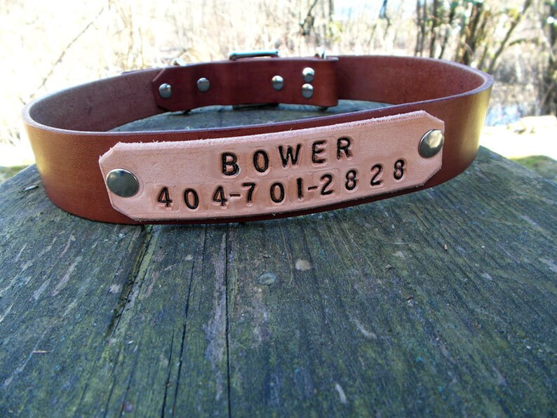 Leather Dog Collar With Engraved Leather Name Tag Etsy