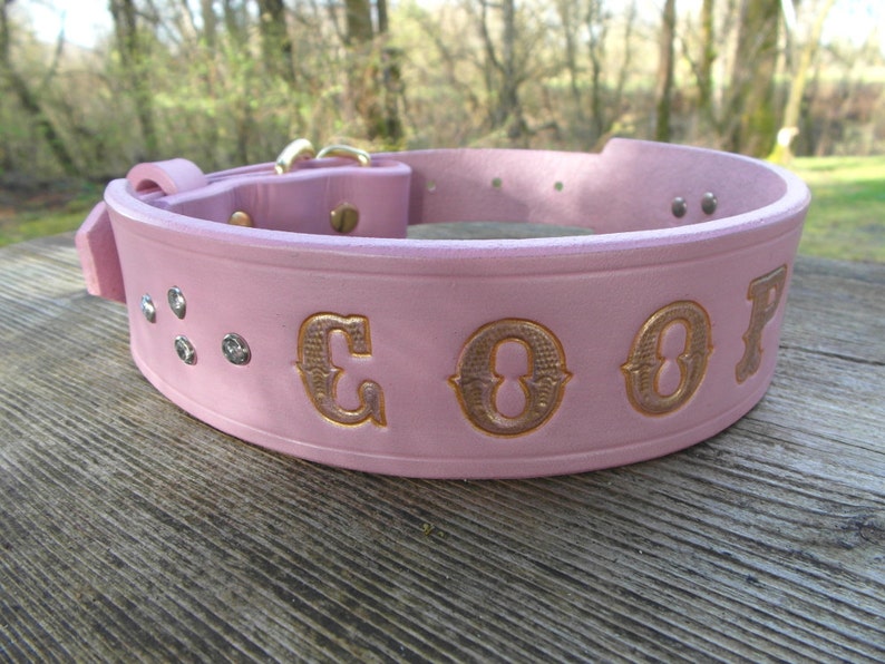 Pink Leather Dog Collar With Name Engraved Girl Dog Collar Etsy
