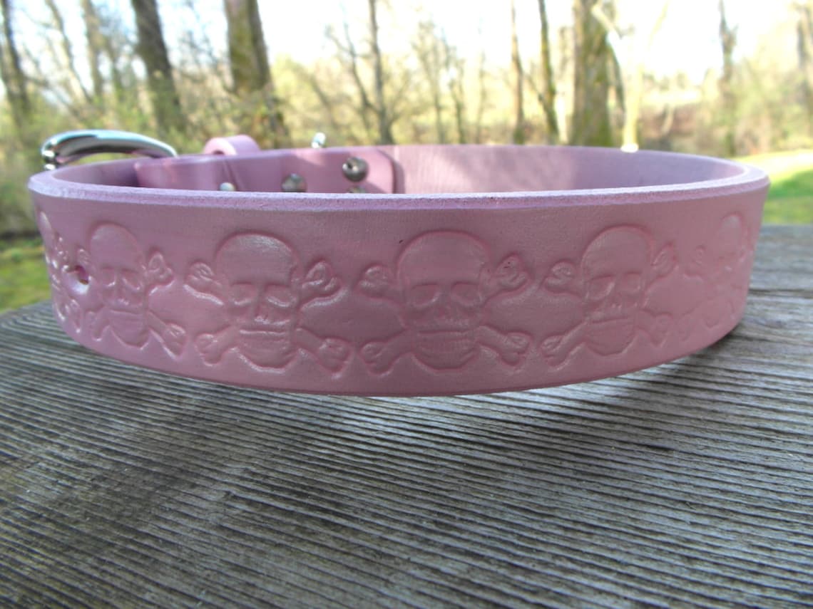 Pink Leather Dog Collar Girl Dog Collar Pink Leather Collar Etsy