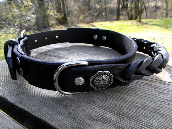 leather collar with handle