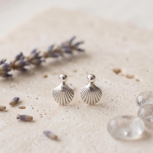 Peut inclure: Une paire de boucles d'oreilles à clous en argent en forme de petits coquillages, chacune dotée d'un sommet sphérique lisse et d'une base en éventail avec des stries verticales. Les boucles d'oreilles ont une finition métallique polie.