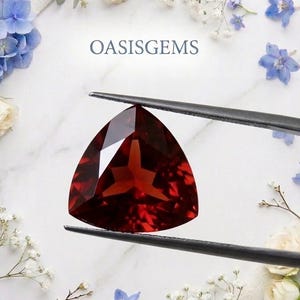 Peut inclure: Une pierre précieuse rouge foncé de taille trillion tenue par une pince en métal noir. La pierre présente une surface à facettes de forme triangulaire. Le texte OASISGEMS est visible au-dessus, entouré d'hortensias bleus et de roses blanches.